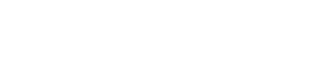 博伦智汇 Boolean Intelligence Logo White